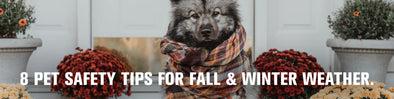 Pet Safety Tips for Fall & Winter Weather by Chuck and Don's