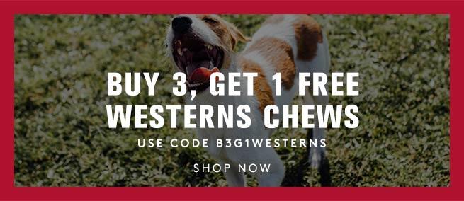 Jack Russel Terrier smiling standing in the grass. Buy 3 get 1 Free westerns Chews. Use code: B3G1WESTERNS Shop now
