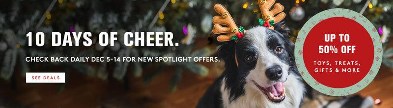 Black and white dog with antlers on in front of a tree. Save up to 50% off with the 10 days of Cheer. Check back daily Dec 5-14 for New spotlight offers. See deals