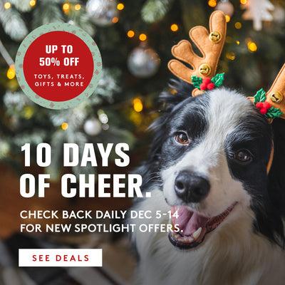 Black and white dog with antlers on in front of a tree. Save up to 50% off with the 10 days of Cheer. Check back daily Dec 5-14 for New spotlight offers. See deals