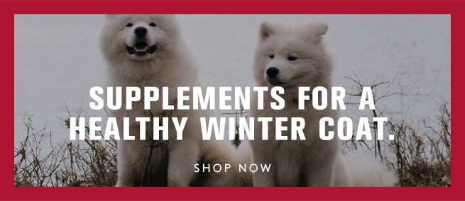 White fluffy big dogs to help with their healthy winter coats find supplements here. Shop now