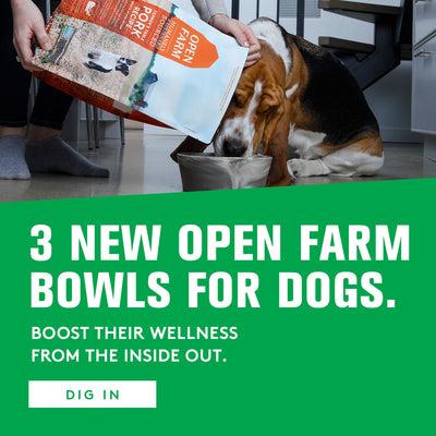 A basset hound eating out of a bowl while its owner is pouring Open Farm food into its bowl. 3 new open Farm bowls for dogs. Boost their wellness from the inside out. Dig in.