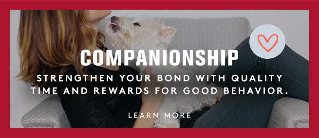companionship. strengthen your bond with quality time and rewards for good behavior. click to learn more.