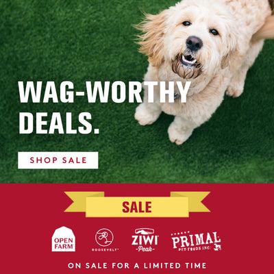 wag-worthy deals - shop now