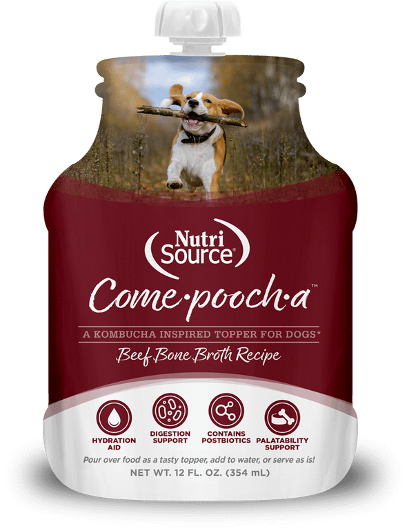 NutriSource Come-Pooch-a Beef Bone Broth for Dogs