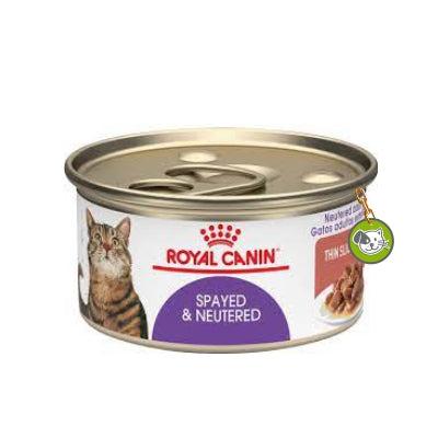Royal Canin Spayed and Neutered Thin Slices Canned Cat Food