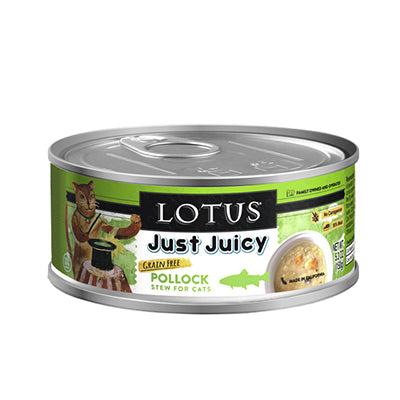 Lotus Just Juicy Pollock Stew For Cats