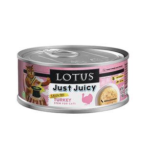 Lotus Just Juicy Turkey Stew For Cats
