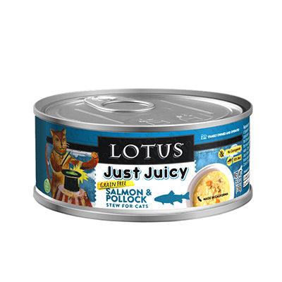 Lotus Just Juicy Salmon & Pollock Stew For Cats
