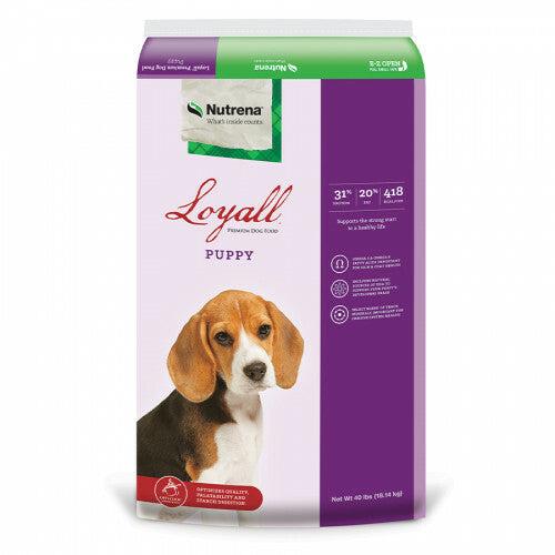 Loyall Puppy Formula 31/20