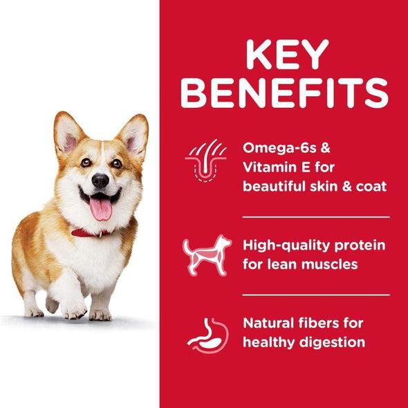 Hill's Science Diet Small Bites Lamb Meal & Brown Rice Recipe Dry Dog Food