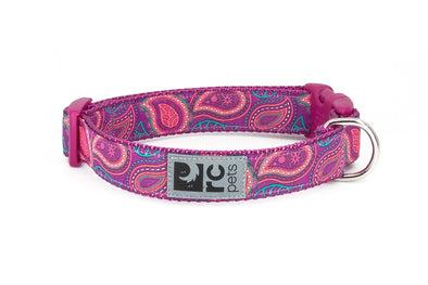 RC Pet Bright Paisley Clip Collar for Dogs