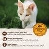 Wellness CORE Grain Free Natural Indoor Health Chicken and Turkey Recipe Dry Cat Food