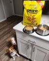 Grandma Lucy's Pureformance Chicken and Chickpea Freeze Dried Grain Free Dog Food