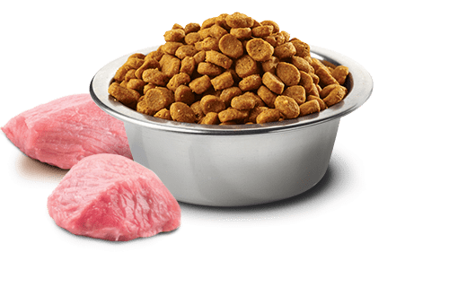 Farmina Prime N&D Natural & Delicious Grain Free Medium Adult Chicken & Pomegranate Dry Dog Food
