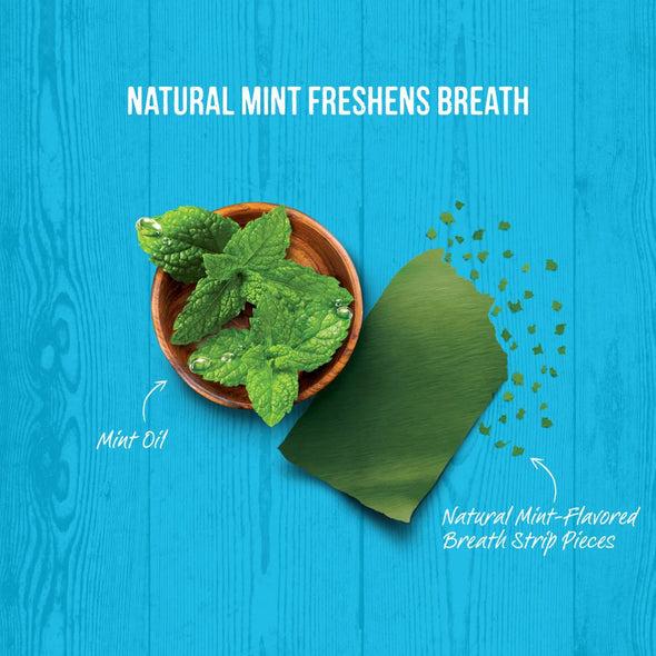 Merrick Fresh Kisses Grain Free Mint Breath Strips Extra Small Dental Dog Treats