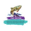 Inception Fish Recipe Dry Cat Food