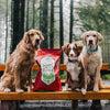 Stella & Chewy's Raw Coated Kibble Cage Free Duck Recipe Dry Dog Food