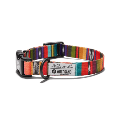 Wolfgang Antigua Collar for Dogs