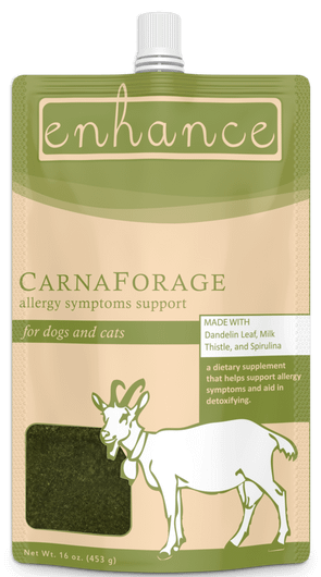 Steve's Real Food Enhance Carnaforage Raw Goat Milk Supplement for Dogs & Cats