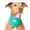 Canada Pooch Special Edition Wet Reveal Smiley Cooling Bandana for Dogs