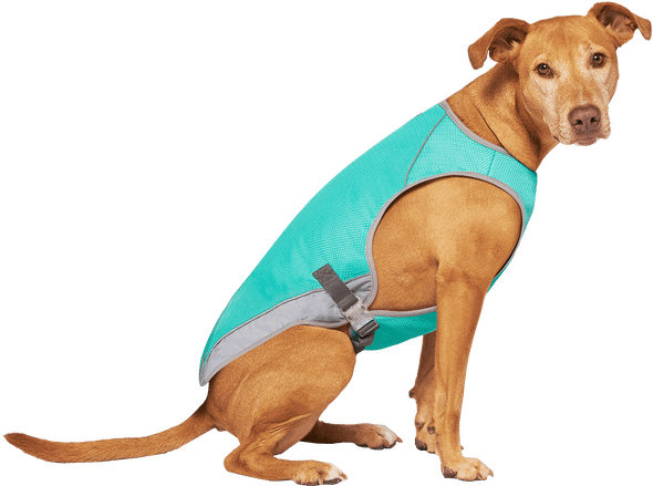 Canada Pooch Special Edition Wet Reveal Smiley Cooling Vest for Dogs