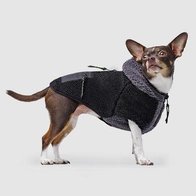 Canada Pooch Cool Factor Hoodie Black/Grey for Dogs