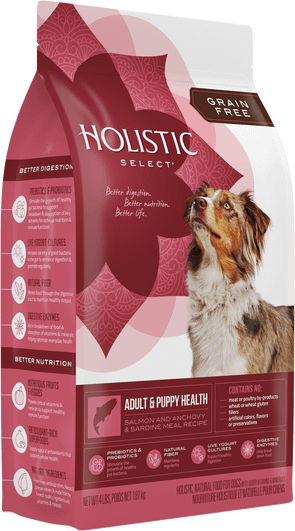 Holistic Select Natural Adult & Puppy Health Salmon, Anchovy, and Sardine Meal Recipe Dry Dog Food