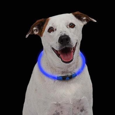 Nite Ize Nitehowl LED Safety Necklace for Dogs