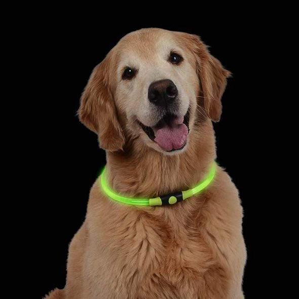 Nite Ize Nitehowl LED Safety Necklace for Dogs