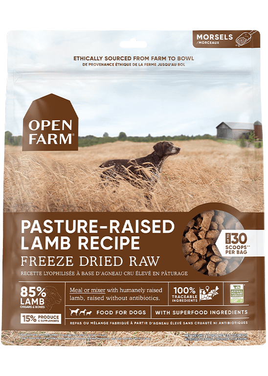 Open Farm Pasture-Raised Lamb Freeze Dried Raw Dog Food