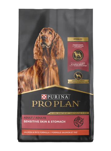 Purina Pro Plan Sensitive Skin & Stomach Formula Salmon & Rice Formula Dry Dog Food
