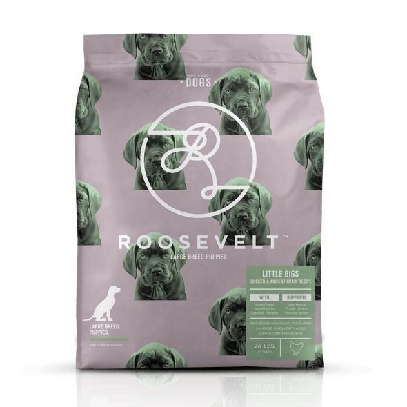 Roosevelt Little Bigs Chicken & Ancient Grain Large Breed Puppy Recipe Dry Dog Food