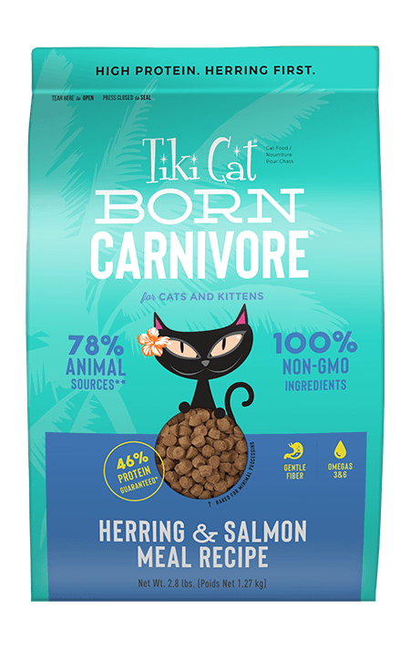 Tiki Cat Born Carnivore - Fish Luau