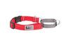 RC Pets Primary Web Training Clip Martingale Collar for Dogs in Red