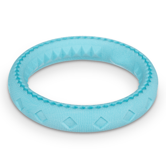 Totally Pooched Chew and Tug Ring Teal Toy for Dogs